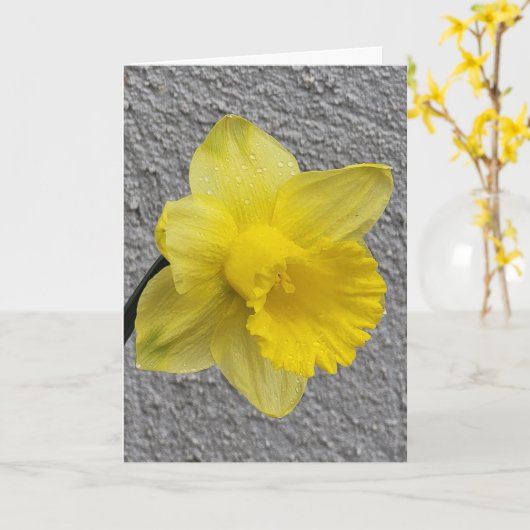 Carte Jaune Daffodil Mère de Fête (Fleur jaune)