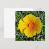 Carte jaune d'automne (Devant / Derrière)