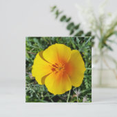 Carte jaune d'automne (Debout devant)