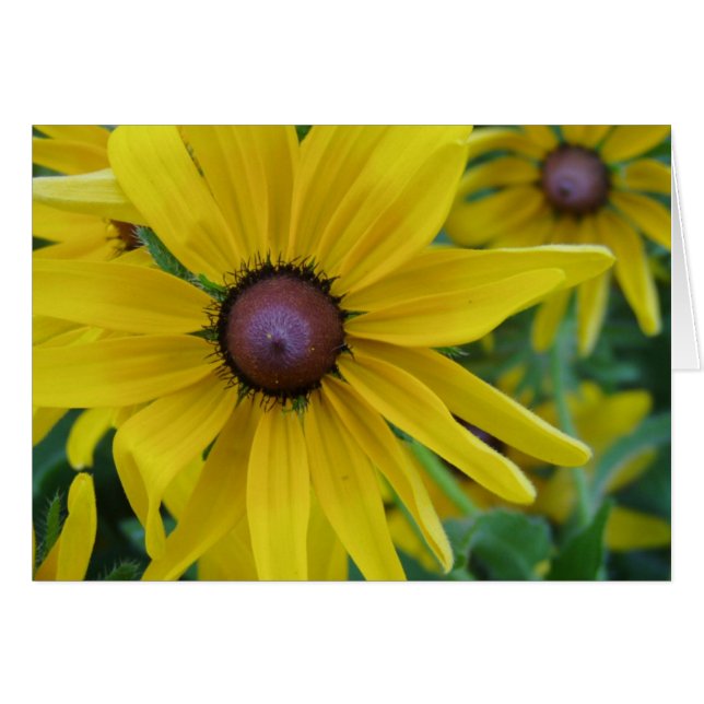 Carte jaune de fleur (Devant horizontal)