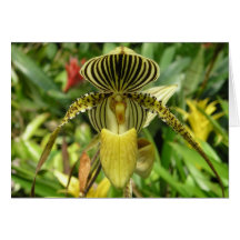 Carte jaune de fleur d'orchidée