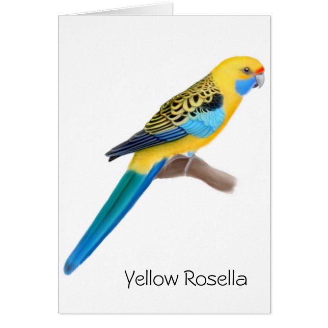 Carte jaune de perroquet de Rosella (Devant)