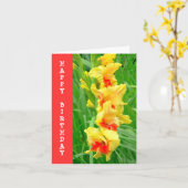CARTE JAUNE ET GLADIOLUS ROUGE / JOLIE ANNIVERSAIRE (Fleur jaune)
