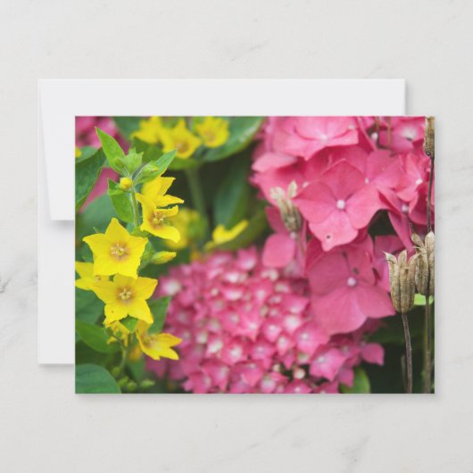 Carte Jaune et rose (Devant)