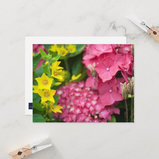 Carte Jaune et rose (Devant/Arrière en situation)