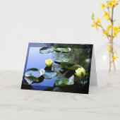 Carte Jaune nénuphar (Fleur jaune)