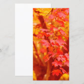 CARTE JAUNE ROUGE AUTOMNE LES FEUILLES TOMBENT MAPLE NAT (Devant / Derrière)