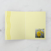 Carte Jaune sauvage (Intérieur)