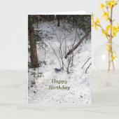 Carte Jay bleu, anniversaire (Fleur jaune)