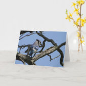 Carte Jay bleu clair (Fleur jaune)