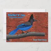 Carte Jay de Steller sur écorce de bouleau intérieur (Devant)