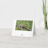 Carte Je Dis Bonjour, Amitié Mignons Écureuils (Dos)