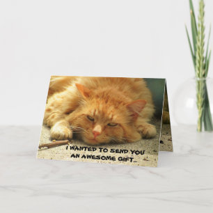 Carte Je ne pouvais pas m'envoyer, Funny Kitty