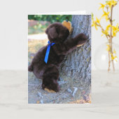 Carte Je pense que je peux... (Fleur jaune)