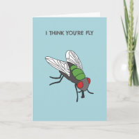 Je pense que vous êtes une drôle d'insecte volant