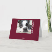 Carte Je peux traiter n'importe quoi avec des baisers ! (Dos)