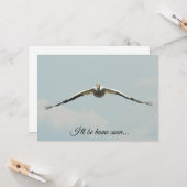 Carte Je serai bientôt à la maison, Pelican Flying (Devant/Arrière en situation)