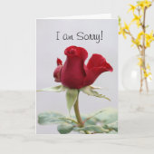 Carte Je suis désolé (Fleur jaune)