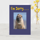 Carte Je suis désolé (Fleur jaune)