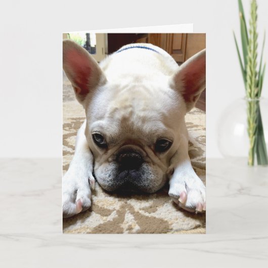 Carte Je suis désolé. (Devant)