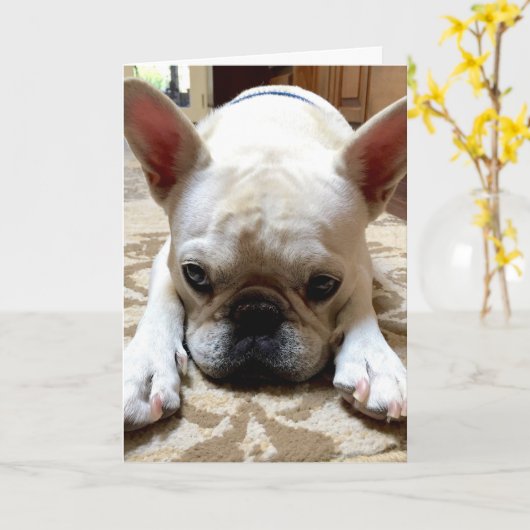 Carte Je suis désolé. (Fleur jaune)