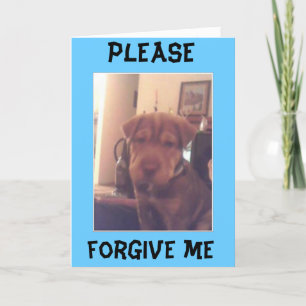 Carte Je suis désolé