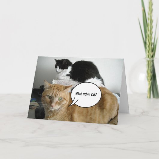 Carte Je suis désolé (Devant)