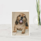 Carte Je suis désolé (Devant)