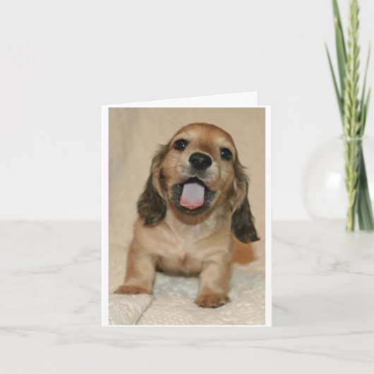 Carte Je suis désolé (Devant)