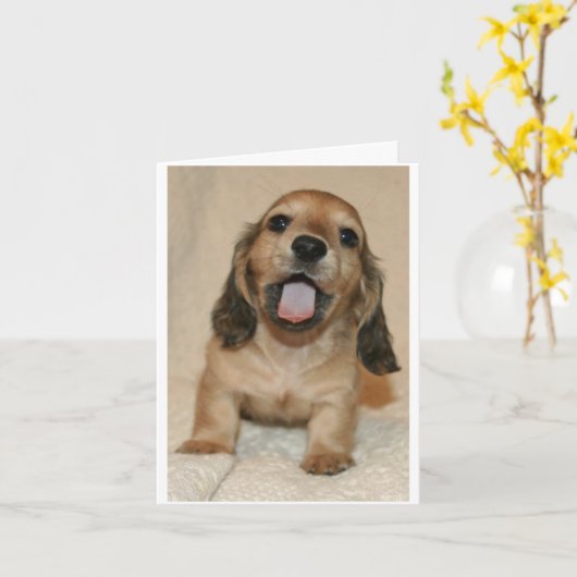 Carte Je suis désolé (Fleur jaune)