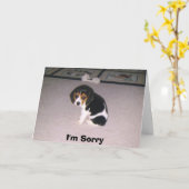 Carte Je suis désolé (Fleur jaune)