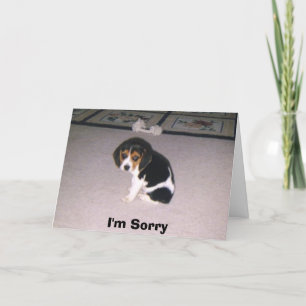 Carte Je suis désolé