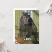 Carte Je suis désolé (Devant/Arrière en situation)