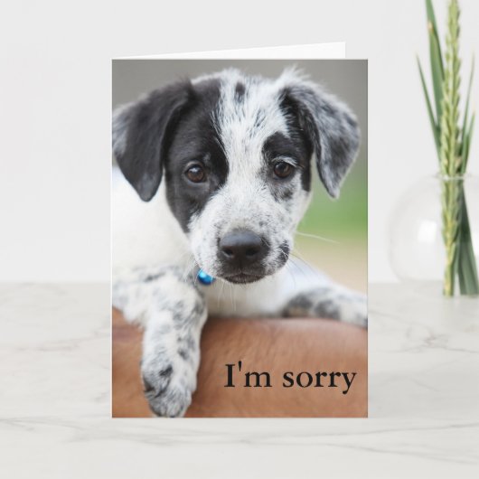 Carte Je suis désolé (Devant)