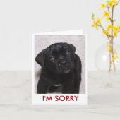 Carte Je suis désolé Card (Fleur jaune)