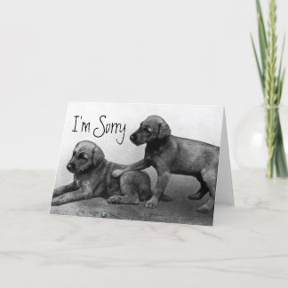 Carte Je suis désolé - des amis de chiot