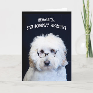 CARTE JE SUIS DÉSOLÉ - HUMOUR AVEC CHIEN/VERRE NOIR-RIM