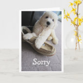 Carte Je suis désolé, Humour petit Goldendoodle mignon (Fleur jaune)