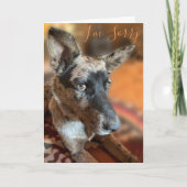 Carte Je suis désolé Oeil Côté Chien de Boeuf Volé Anniv (Devant)