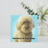 Carte Je suis désolé, parfois je fais des choses stupide (Debout devant)