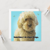 Carte Je suis désolé, parfois je fais des choses stupide (Devant/Arrière en situation)