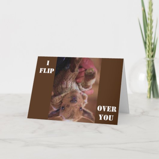 CARTE *JE SUIS FOU DE TOI* SUR L'ÉMISSION D'ANNIVERSAIRE (Devant)