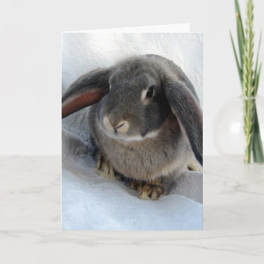 Carte Je suis tout pour toi (Devant)