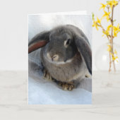 Carte Je suis tout pour toi (Fleur jaune)