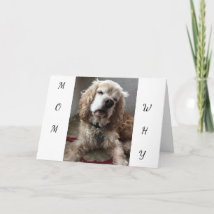 Carte "JE SUIS UN CHIEN CHALEUREUX" d'avoir **VOUS** MÈR