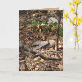 Carte Je suis une feuille, vraiment (Fleur jaune)