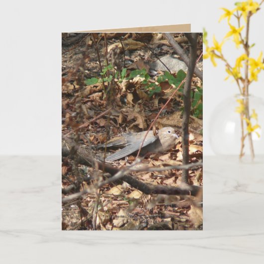 Carte Je suis une feuille, vraiment (Fleur jaune)