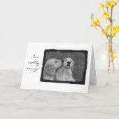 Carte Je suis vraiment désolé (Fleur jaune)