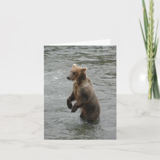 Carte Je t'ai vu le premier ours debout (Devant)