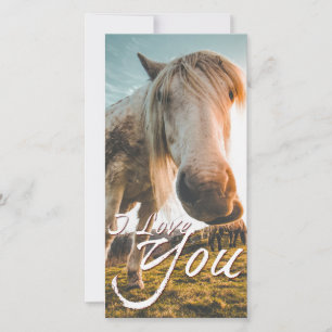 Carte Je t'aime avec cheval regardant